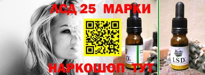 дживик Кандалакша