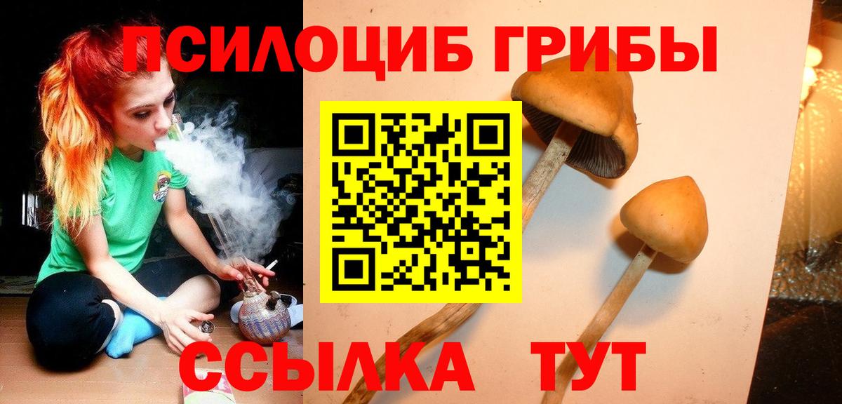 Галлюциногенные грибы мухоморы  Вход с VPN  Костомукша  Псилоцибиновые грибы мицелий 