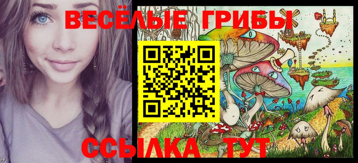 Галлюциногенные грибы Cubensis Костомукша